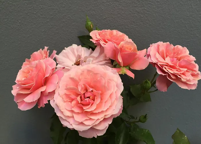 B&B Civico Cinque Salerno